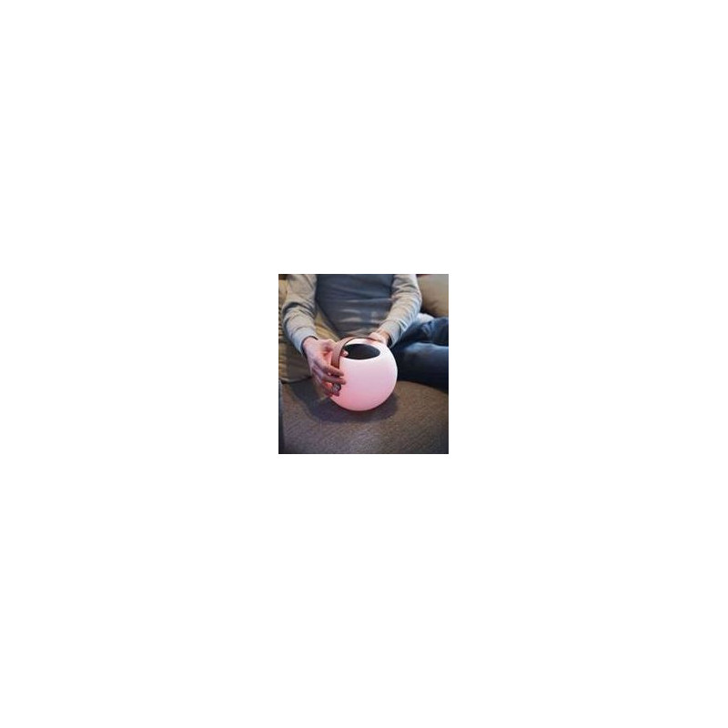 ENCEINTE BOULE LIVOO