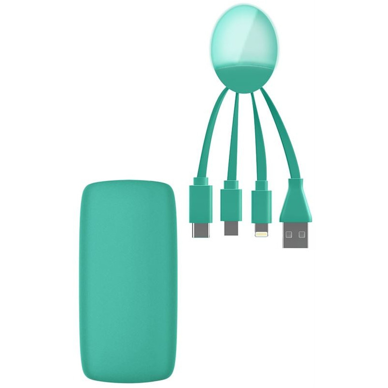 Powerbank 5000mAh 1 port USB A + Câble multiple Octopus Vert