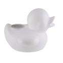 Enceinte extérieure sans fil lumineuse étanche BTLSDUCK 