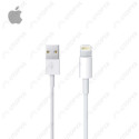 APPLE Câble Lightning vers USB (2m)